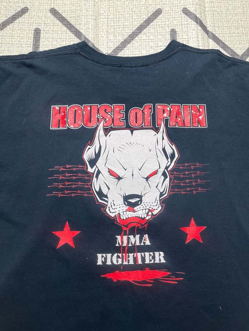 Y2K House of Pain MMA Fighter Pitbull Graphic T-Shirt